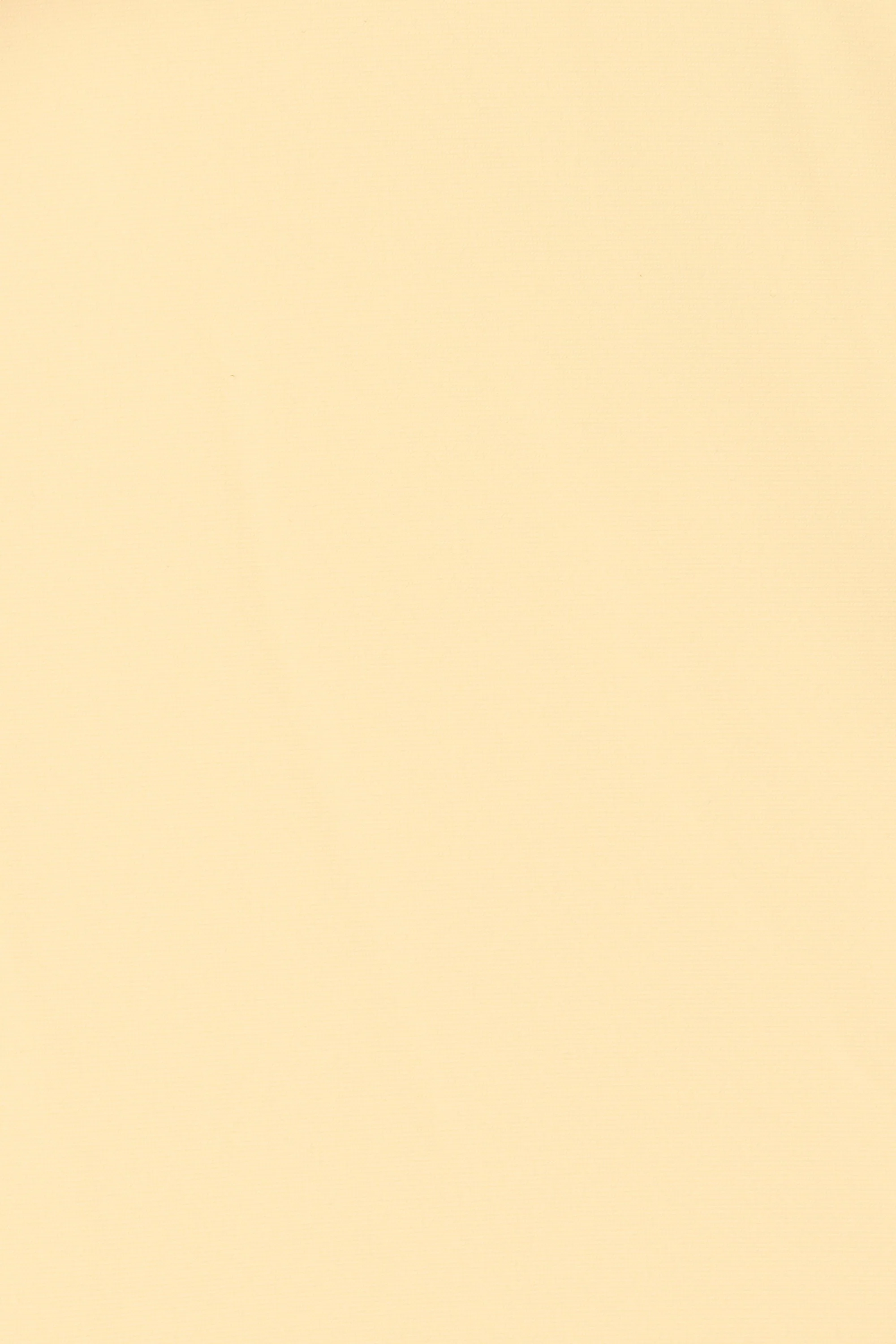 Faithfull - Andez Bikini Bottom Buttermilk - Image 5