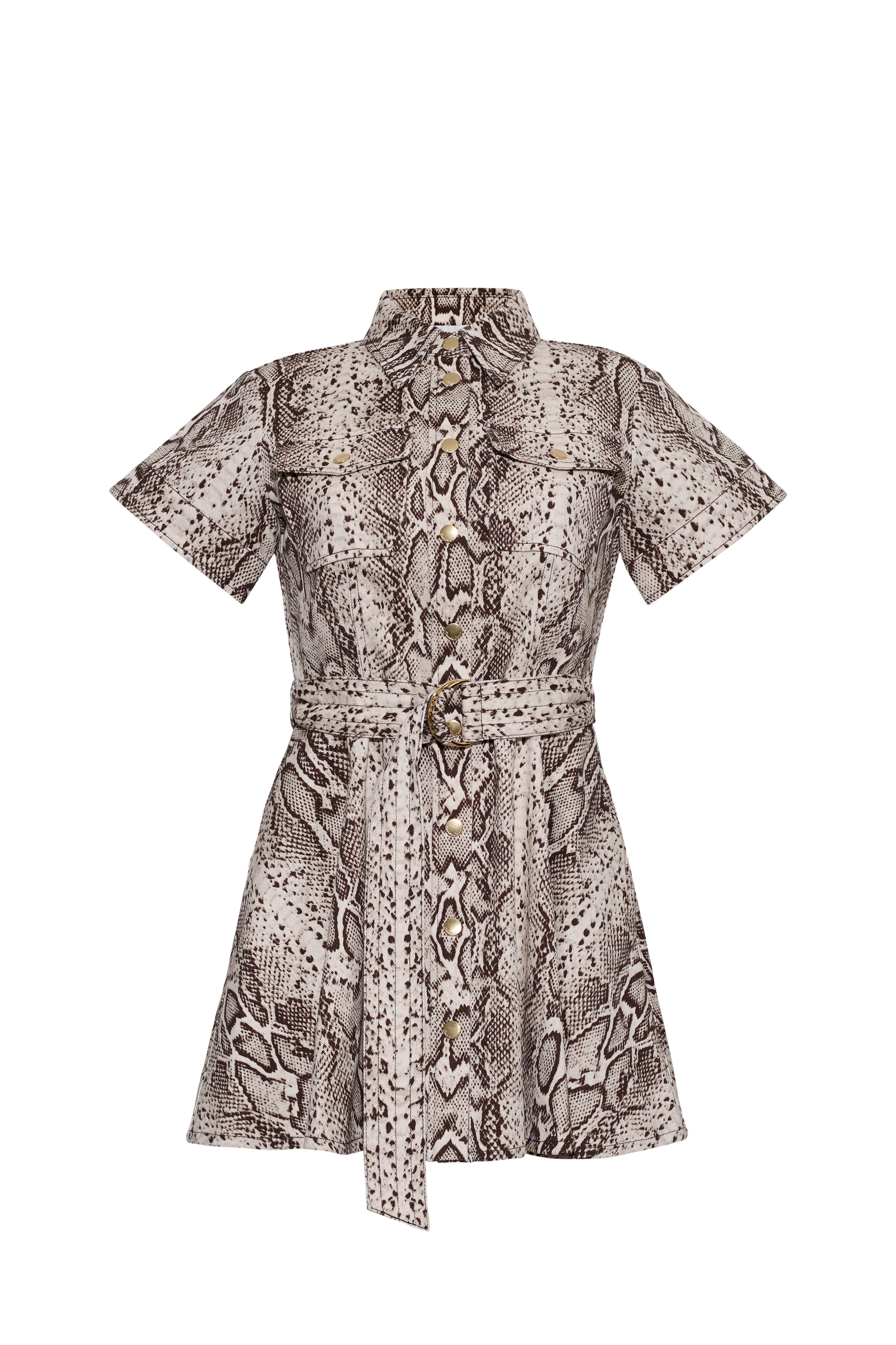 Cara Cara - Walter Dress