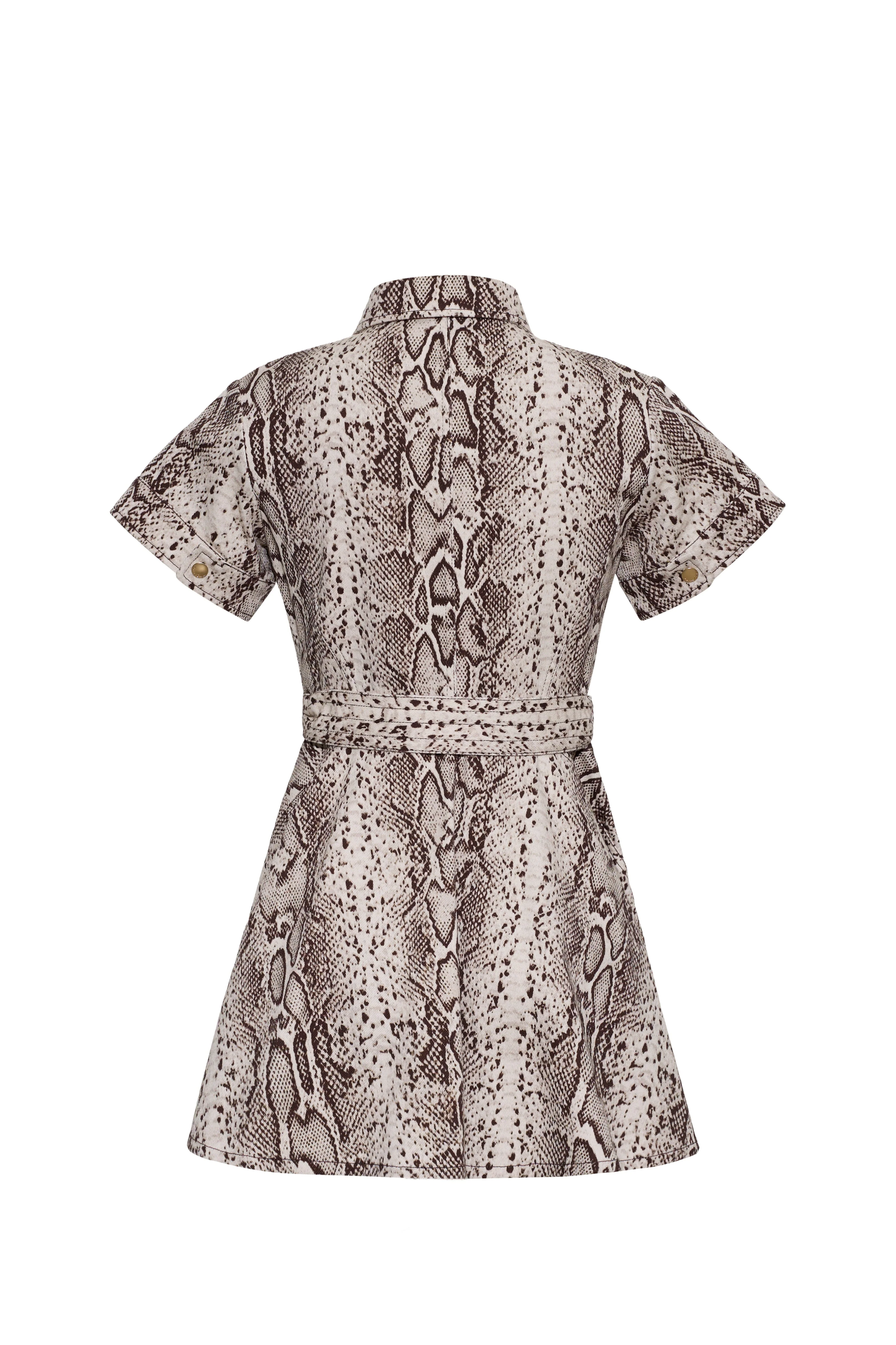 Cara Cara - Walter Dress - Image 2