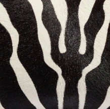 Khaite - Cate Bag in Zebra Print Haircalf - Image 6