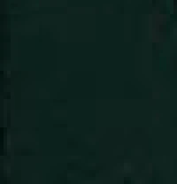Khaite - Cate Bag in Hunter Green Alligator - Image 8