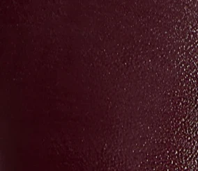 Khaite - Jett D'Orsay Low Pump in Bordeaux Glazed Leather - Image 6