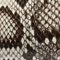 Khaite - Donna Evening Clutch in Natural Python - Image 6