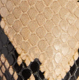 Khaite - Jett D'Orsay Low Pump in Python - Embossed Taupe - Image 5