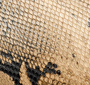 Khaite - Small Lotus Tote in Python - Embossed Taupe and Morning Dove - Image 6