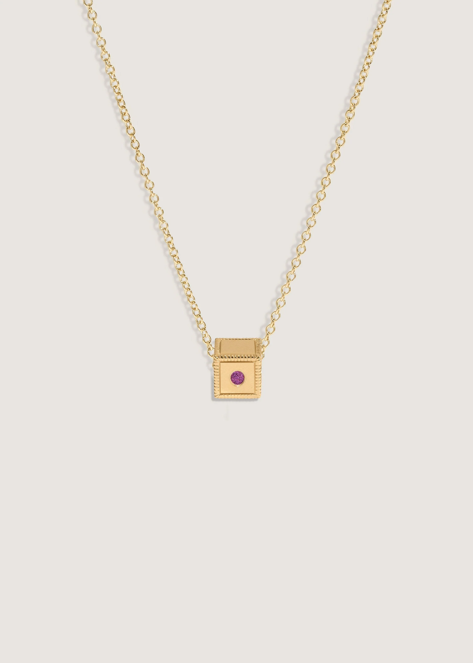 Kinn - Chapter Custom Birthstone Charm Necklace Amethyst