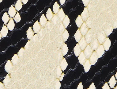 Khaite - Loop Flat Sandal in Natural Python - Embossed Leather - Image 10