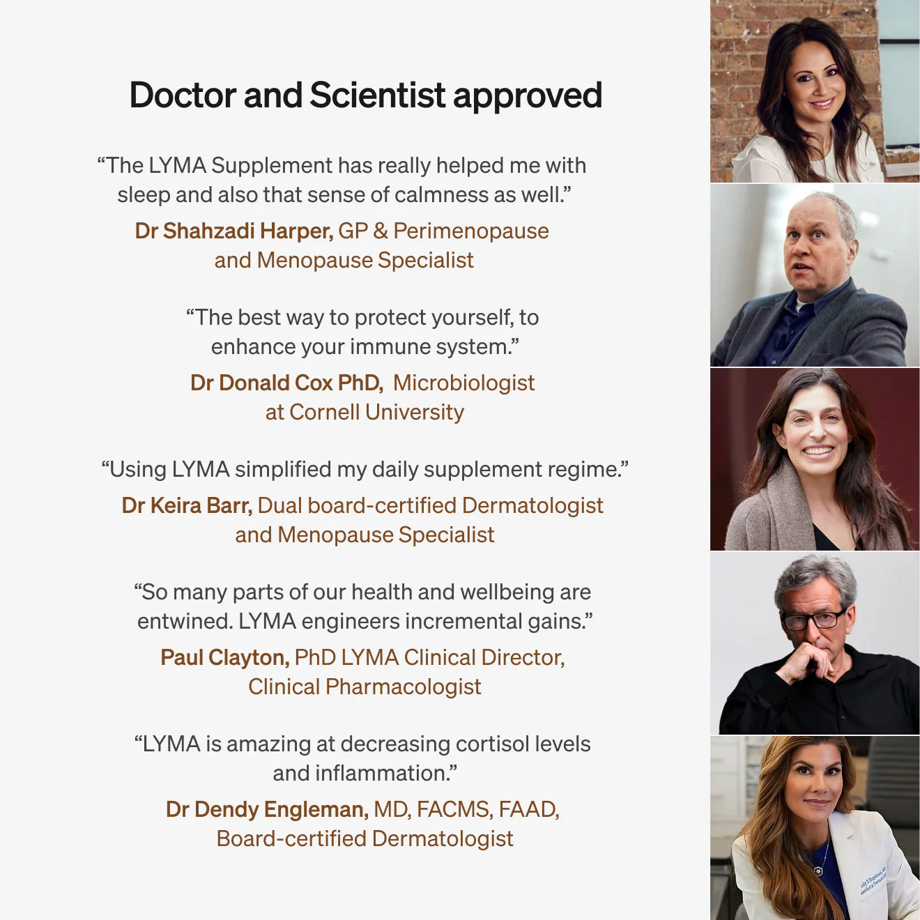 Lyma - LYMA Supplement Limited Edition - Image 5