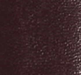 Khaite - Manhattan Belt in Bordeaux Leather with Gold - Image 6