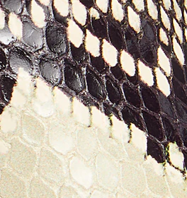 Khaite - Ona Ankle Boot in Natural Python - Embossed Leather - Image 12